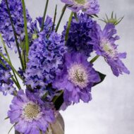 Lavender Seasonal Flowers designers Choice - beverlyhillsflorist