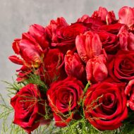 Valentines - Zebra - beverlyhillsflorist