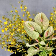 Sweet & Edgy - beverlyhillsflorist