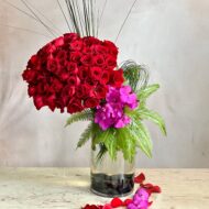 Starlet - beverlyhillsflorist