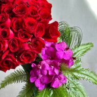 Starlet - beverlyhillsflorist