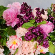 Eve's Garden - beverlyhillsflorist