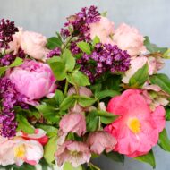 Eve's Garden - beverlyhillsflorist