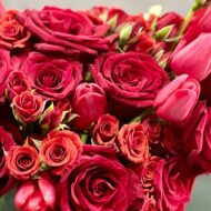 Valentines - My Queen - beverlyhillsflorist