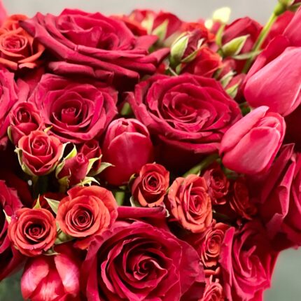 Valentines - My Queen - beverlyhillsflorist