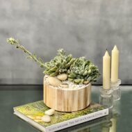 Groovy Green - beverlyhillsflorist