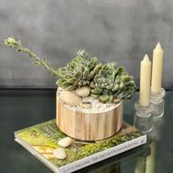 Same Day Delivery, Beverly Hills Florist, Succulent, Modern flowers, Plants