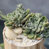 Groovy Green - beverlyhillsflorist