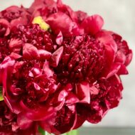 Valentines - One & Only - beverlyhillsflorist