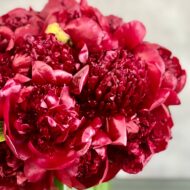 One & Only - beverlyhillsflorist