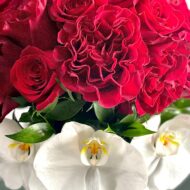 Sweet Surrender - beverlyhillsflorist