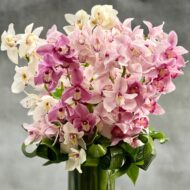 Climbing the Ladder - beverlyhillsflorist