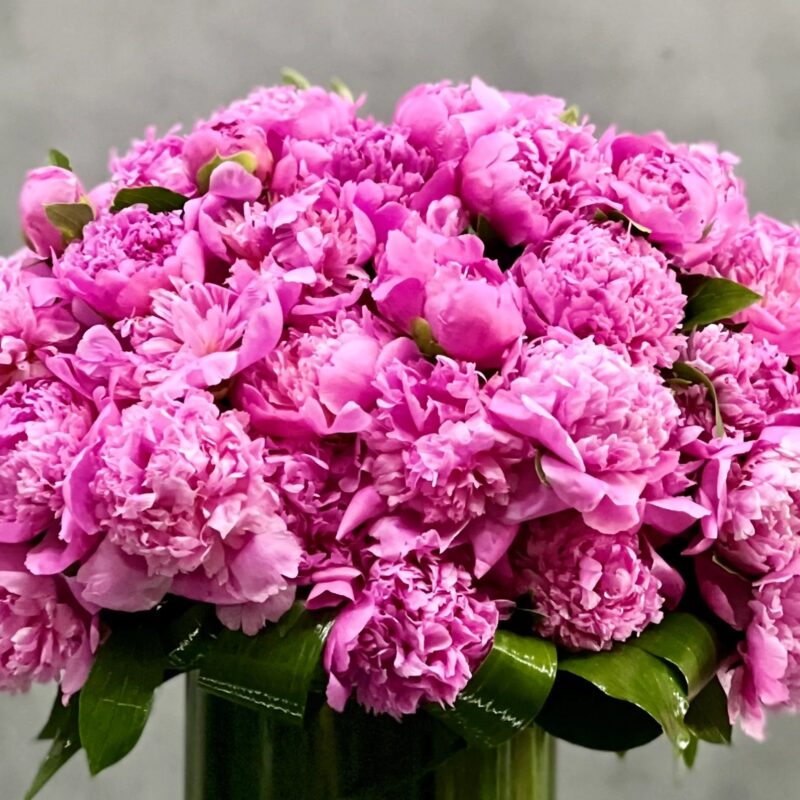 Valentines - Hot to Trot - beverlyhillsflorist