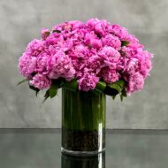 Hot to Trot - beverlyhillsflorist