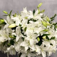 Lily Galore - beverlyhillsflorist
