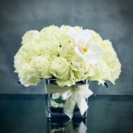 This arrangement presented by Beverly Hills Florist offers Kissing Butterflies for same day delivery. It has over 30 Blooms of pale green white Roses accented with kissing White Orchids in a 6 inch Mirrored vase. A beautiful arrangement for Sympathies and thinking of you.