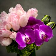 Tiptoeing Through the Tulips - beverlyhillsflorist