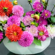 Pom Pom - beverlyhillsflorist