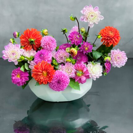 Pom Pom - beverlyhillsflorist