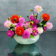 Pom Pom - beverlyhillsflorist