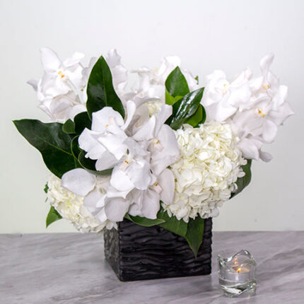 White Designers Choice - beverlyhillsflorist