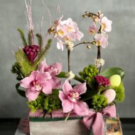 Dance With Me Orchids - beverlyhillsflorist