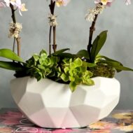 Pink Delicacy - beverlyhillsflorist