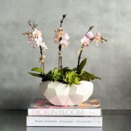 Pink Delicacy - beverlyhillsflorist