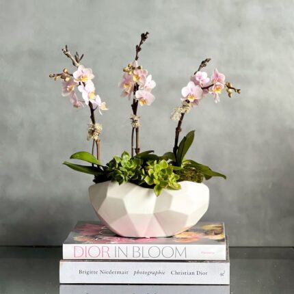 Pink Delicacy - beverlyhillsflorist