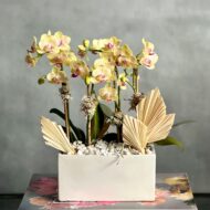 Mini Sunshine - beverlyhillsflorist