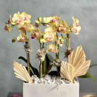 Mini Sunshine - beverlyhillsflorist