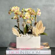 Mini Sunshine - beverlyhillsflorist