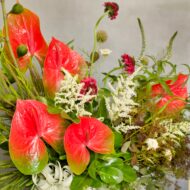 Miami - beverlyhillsflorist