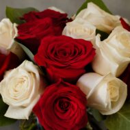 Valentines - Red & White Checker Roses - beverlyhillsflorist