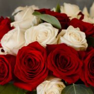 Valentines - Red & White Checker Roses - beverlyhillsflorist
