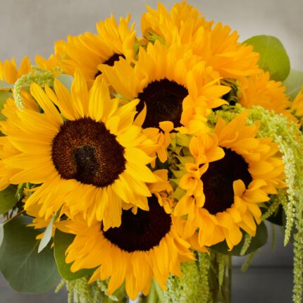 Here Comes The Sun - beverlyhillsflorist