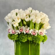 Vanilla Dream - beverlyhillsflorist