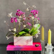 Breeze - beverlyhillsflorist