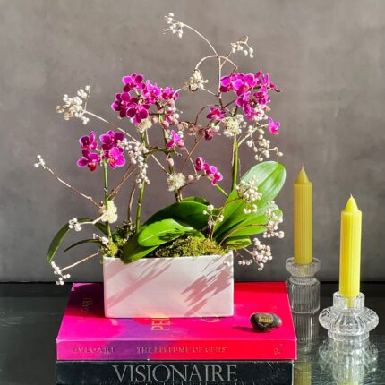 Breeze - beverlyhillsflorist