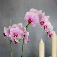 Silver and Pink - beverlyhillsflorist