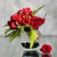 I'm dreaming - beverlyhillsflorist