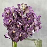 Purple Strikes - beverlyhillsflorist