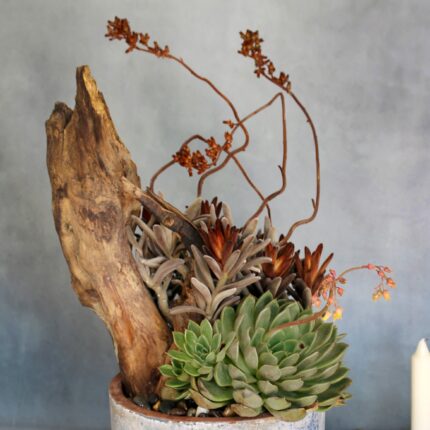 Desert Chic - beverlyhillsflorist
