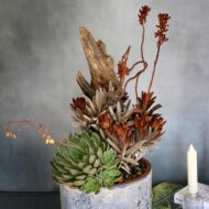 Desert Chic - beverlyhillsflorist