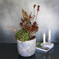 Desert Chic - beverlyhillsflorist