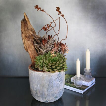 Desert Chic - beverlyhillsflorist