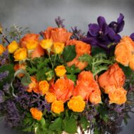 Orange You Pretty - beverlyhillsflorist