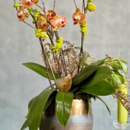 Orchid Sunset - beverlyhillsflorist