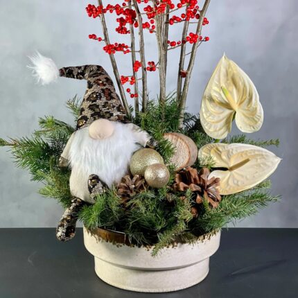 Ilexy Gnome - beverlyhillsflorist