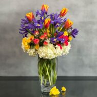 Blue Iris - beverlyhillsflorist